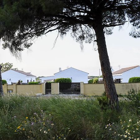 Villas Perez Zara Conil De La Frontera Exterior photo